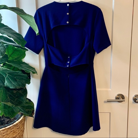 NWOT Zara Skater dress - Picture 5 of 5